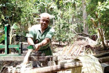 based by abacca|Abaca farming: A better option than mining – .